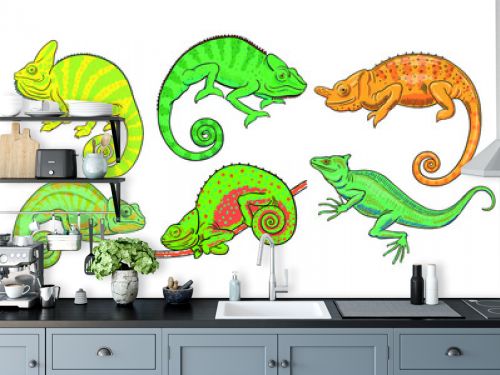 Hand drawn vector set of chameleons and basilisk isolated on white background. Stock illustration of colorful lizards.